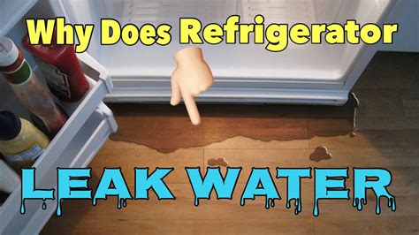 why is my samsung refrigerator leaking water|Samsung Refrigerator Leaking Water